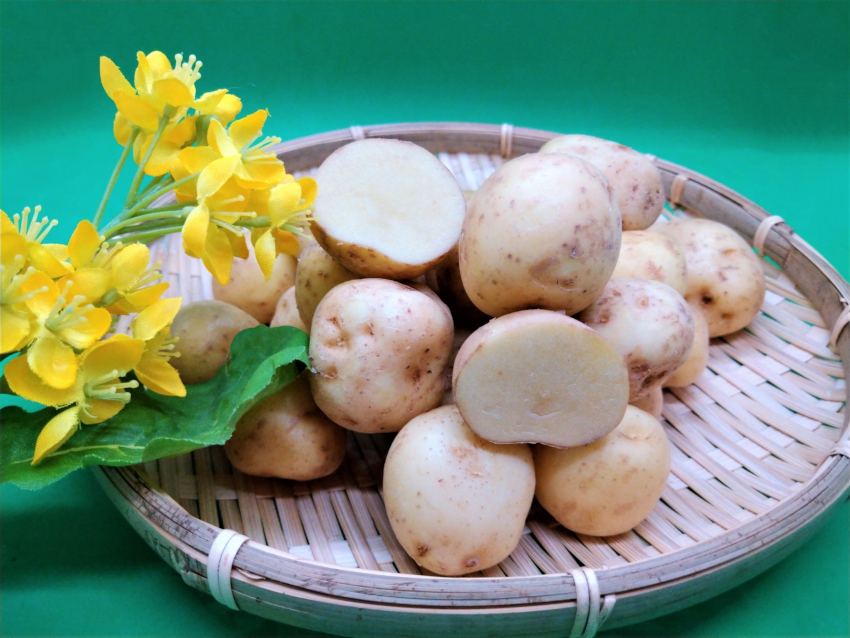春～初夏の旬・新ジャガイモで4倍のビタミン摂取